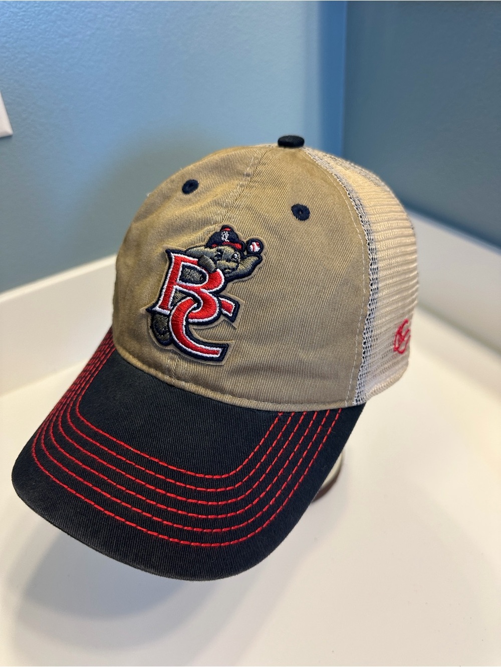 Vintage Brevard County Manatees Baseball Hat